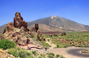 FACULTATIEVE UITSTAPPEN