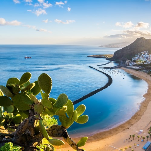 Spanje | Tenerife