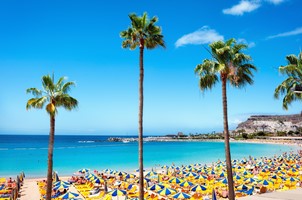 Gran Canaria - Affligem