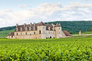 TOURNUS – CLOS DE VOUGEOT – AFFLIGEM
