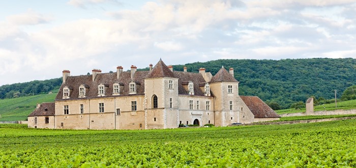 TOURNUS – CLOS DE VOUGEOT – AFFLIGEM