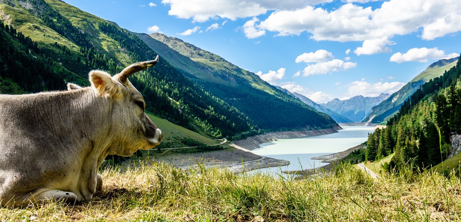 Oostenrijk - Pitztal
