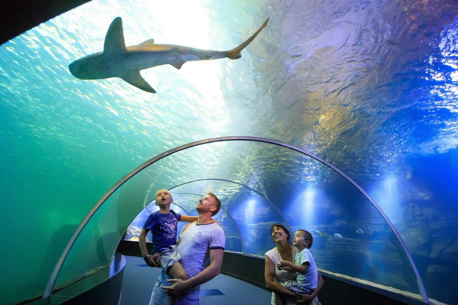aquarium