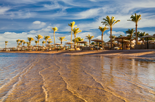 Affligem - Marsa Alam 