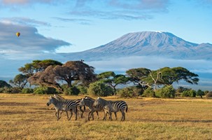 NAIROBI - AMBOSELI NATIONAL PARK (O/L/A)