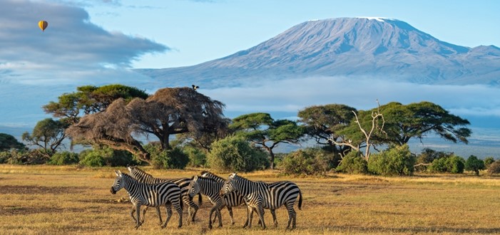 NAIROBI - AMBOSELI NATIONAL PARK (O/L/A)