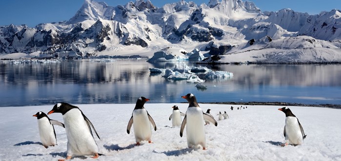 Antarctisch Schiereiland
