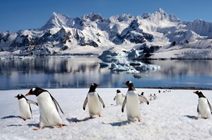 Antarctisch Schiereiland