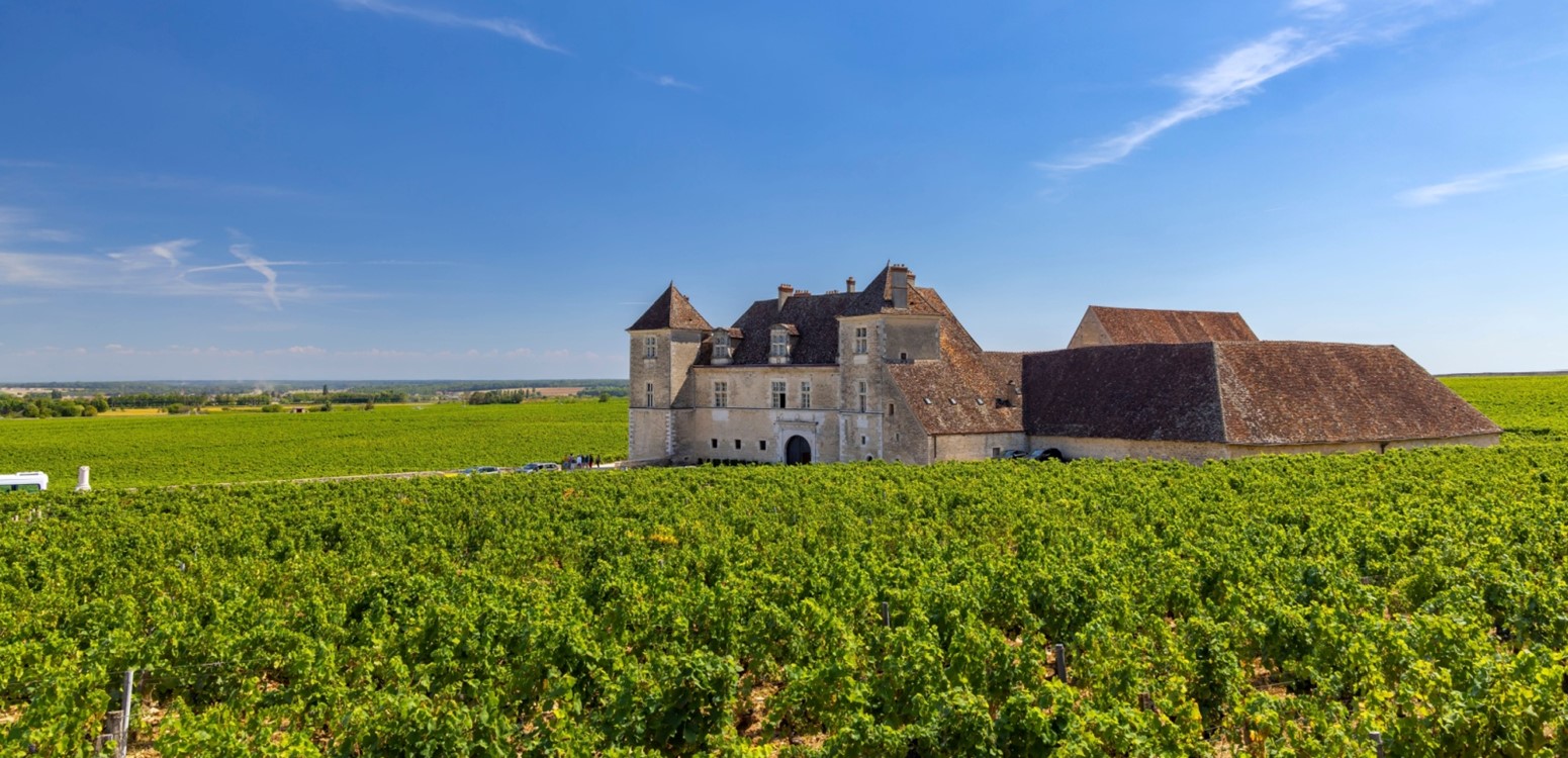 Bourgogne | Le Mâconais - Le Beaujolais & Chardonnay