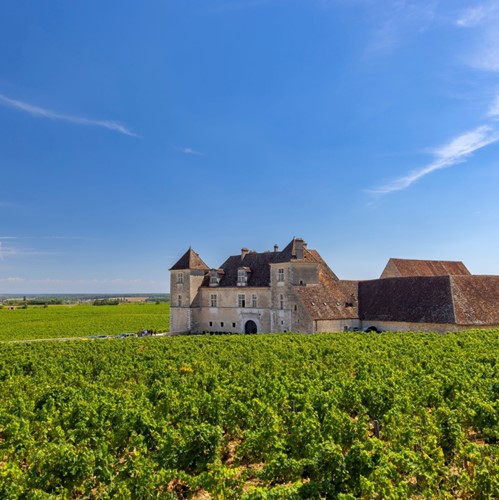Bourgogne | Le Mâconais - Le Beaujolais & Chardonnay