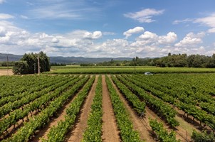 LORIOL-SUR-DRÔME - AFFLIGEM