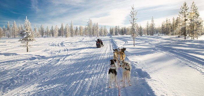 HUSKYSAFARI & CAMP AURORA (O/L/A)