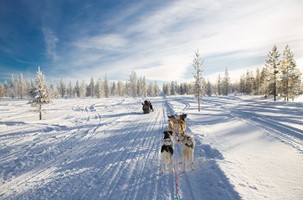 HUSKYSAFARI & CAMP AURORA (O/L/A)